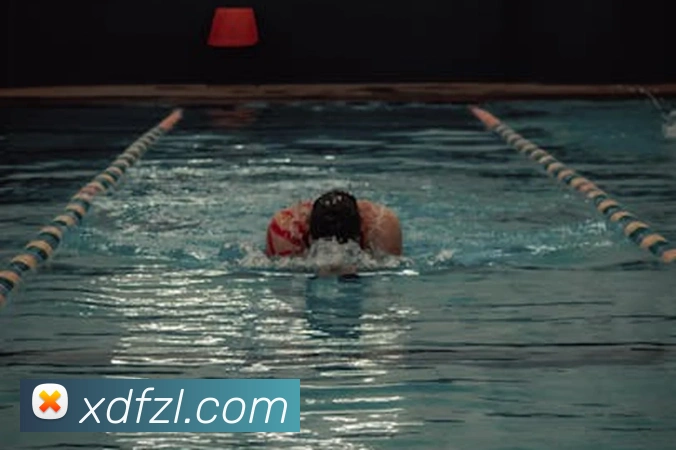 尊龙凯时平台生态图